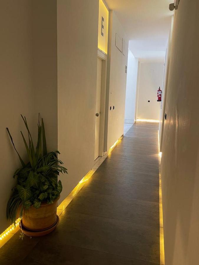 Catedral Square Apartment Sevilla Bagian luar foto